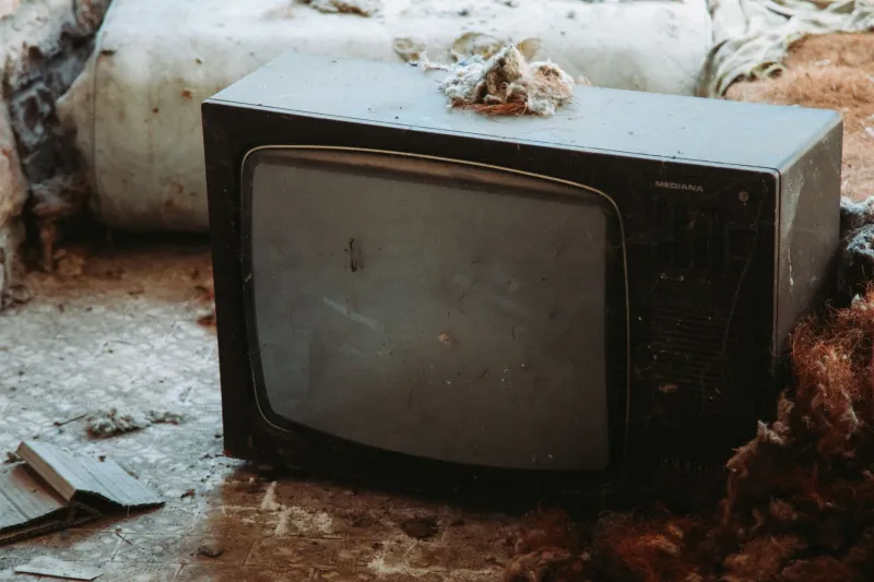 Gone But Not Forgotten: The Underground World Keeping Canceled Shows Alive