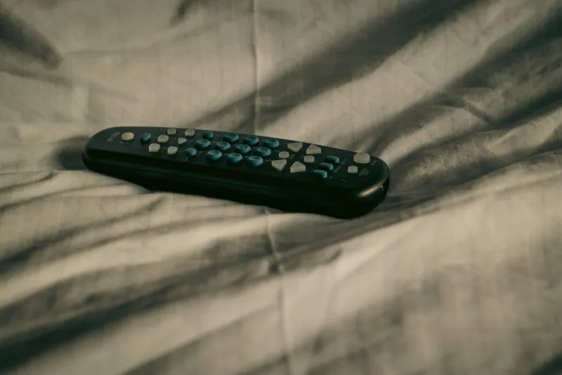 You've Watched Everything: A Survival Guide for Fans Who've Hit the Wall